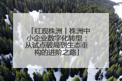 红观株洲丨株洲中小企业数字化转型：从试点破局到生态重构的进阶之路